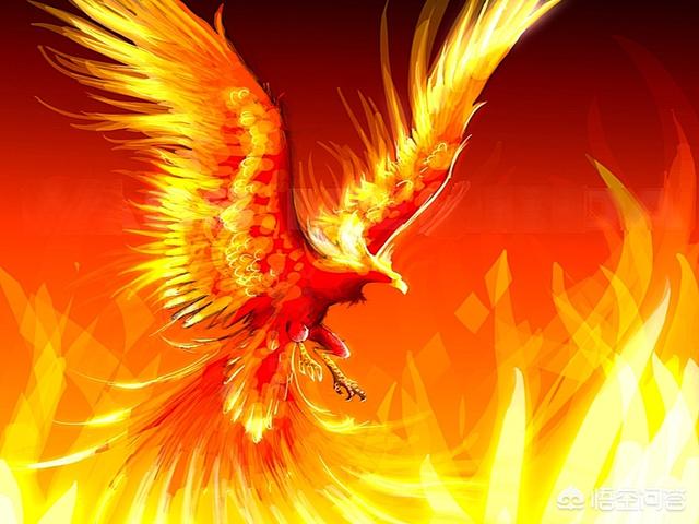 根据《山海经》的描述,凤凰会不会是小型会飞长有羽毛的恐龙？为什么？