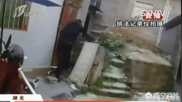 洛阳罗威纳犬价格:违规饲养烈性犬，洛阳一居民被罚1000元, 你怎么看？