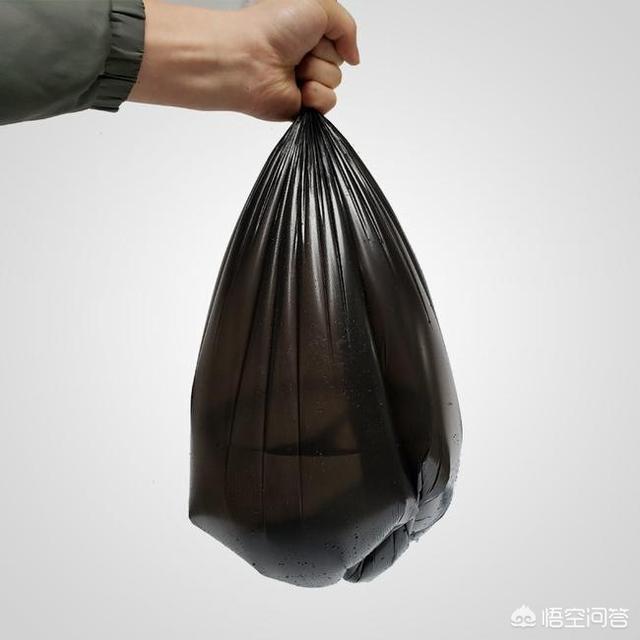 大理石纹螯虾哪些地区:龙虾繁殖能力很强，为什么很少有人养殖呢？