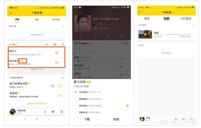 嘻哈斗牛犬的主页:什么音乐播放器是目前国内最好的？
