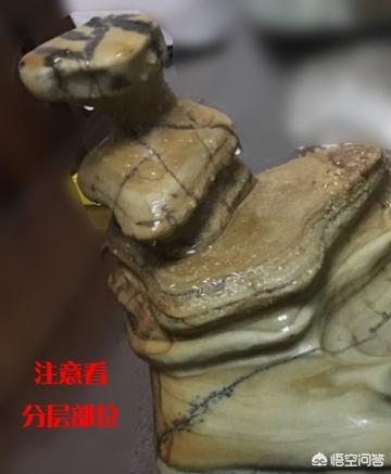 大化石图片(广西柳州大化石图片)