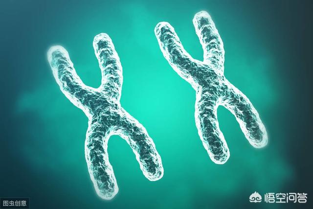 怎么样造成的精神分裂症,精神分裂症与睡眠有什么关系？