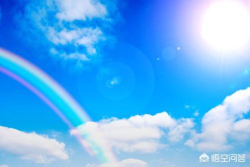 约克夏狗: 约克夏要长期吃钙片吗，约克夏要吃多久的钙片？