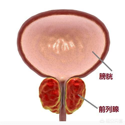 咖啡可以壮阳吗，备孕期间不能喝咖啡吗？备孕期间男性肾虚怎么调理？