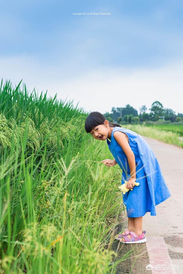 四款定焦镜头/ 35、50、85、135mm分别适合拍什么？插图26