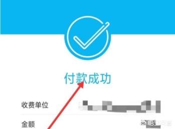 农村医保网上如何缴费，怎么在网上给农村合作医疗缴费？