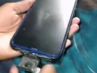 狗狗视频大全搞笑:有哪些有意思的狗子小视频？