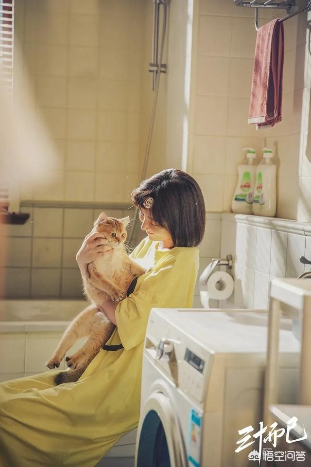 林有有结局:如何评价《三十而已》的大结局现实中真的有林有有那样的人吗