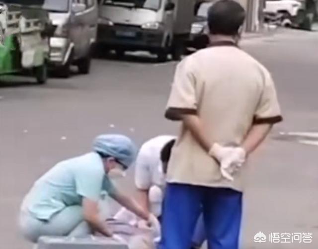 狗狗绊倒八旬老太相关新闻:广东88岁阿婆被狗绳绊倒身亡，你支持立法城市全面禁狗吗？