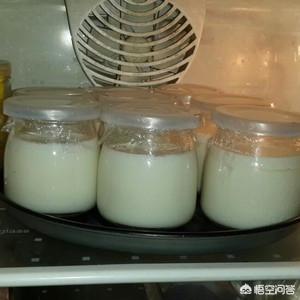 在家不用机器自制酸奶，不用酸奶机任何人都能学会的酸奶制作法