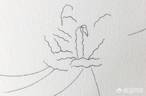 哪吒简笔画,如何画出彼岸花（石蒜）？