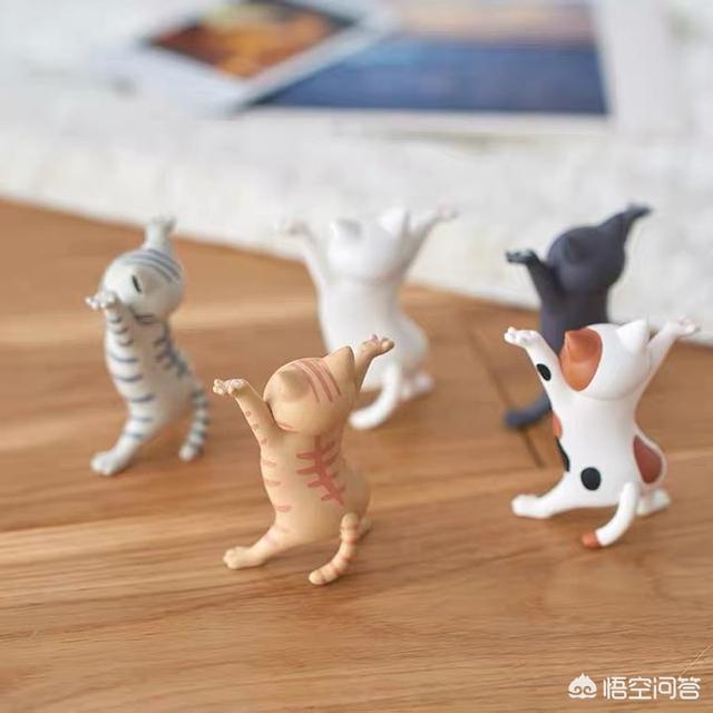 邹奇奇:你见过最猥琐的人有多猥琐？