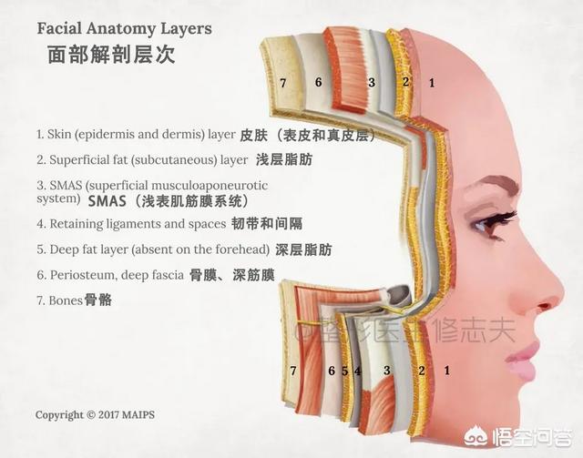 头条问答 - 小圆脸是脸部脂肪多形成的吗?(4个回答)