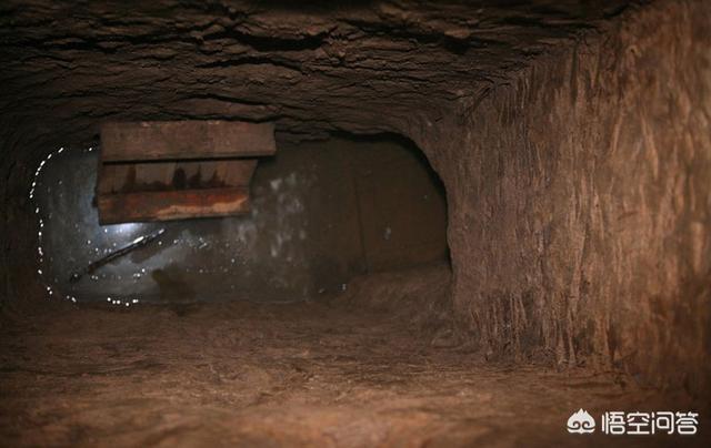 千年不传的风水秘术,盗墓为什么总是舅舅带着外甥？