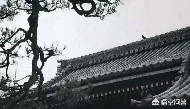 “乌台诗案”是因为哪首诗引起的？
