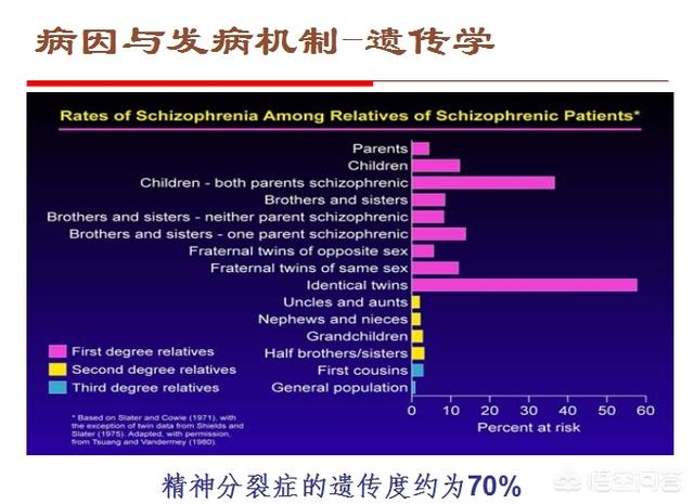 精神分裂症能生孩子吗,躁郁症丈夫和精神分裂症妻子适合生小孩吗？