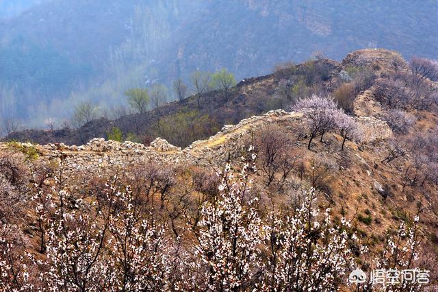 北极沙蟹扑克行:高考后去哪里旅行比较好？