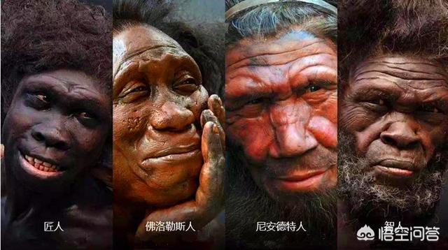 尼可信:人类祖先为啥会吃光尼安德特人？ 尼可信驱虫药