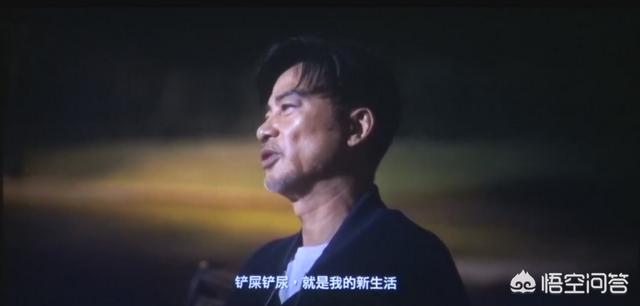 导肓犬小q在线观看:如何评价任达华、梁咏琪主演的关于导盲犬电影《小Q》？