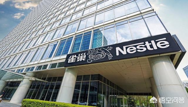 宠物写真怎么写活动策略:宠物店的销售策略有哪些？