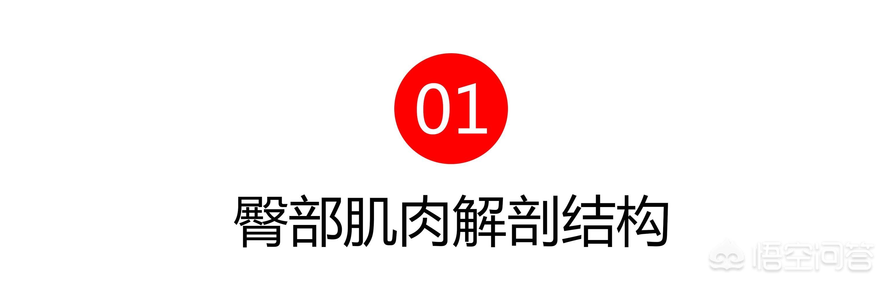 马甲线是什么意思，为什么我体脂称上17体脂却没马甲线？本人女？