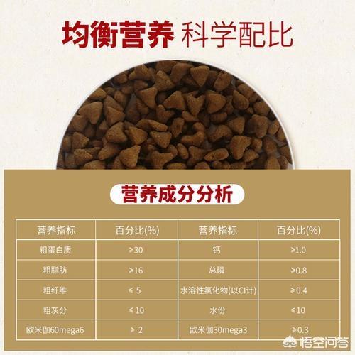 猫咪有病可以吃猫粮吗，养猫必须吃猫粮吗吃猫粮和直接吃肉比有哪些好处