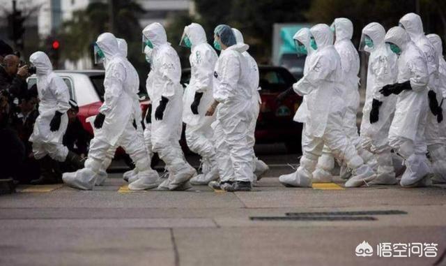 关于狗食粪症的文章聚合:为什么有人说12月5日法国大罢工必将载入史册？