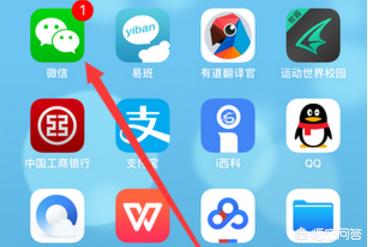 微信小程序在哪找微信小程序怎么找(微信小程序管家在哪里找)