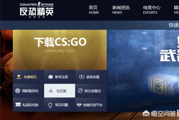 猫猫狗狗csgo:家里来了一只小猫，家里有狗狗它们一般多长时间混熟？