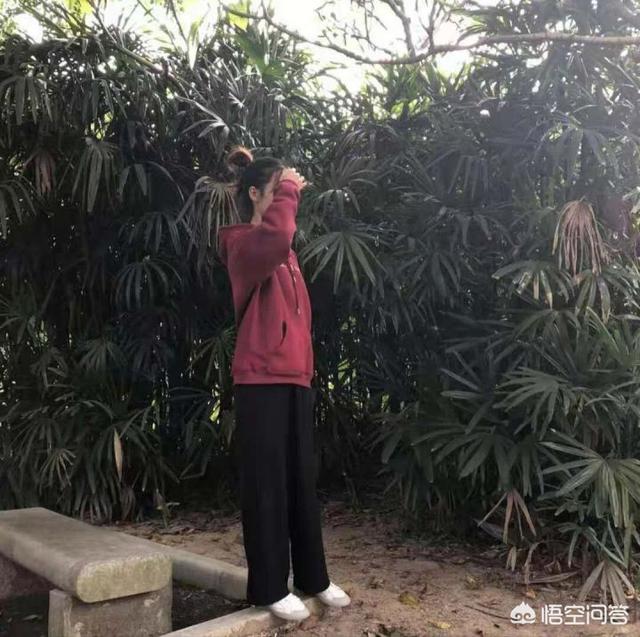 淘宝逛逛什么时候出的，网购时你会多平台比价吗有什么小妙招