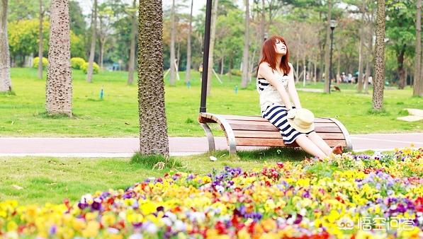 有哪些和夏天相关的音乐，曾让你单曲循环一整天？