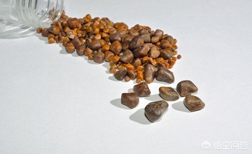 膀胱结石症状预防:﻿冬季快到了，如何预防羊尿结石？