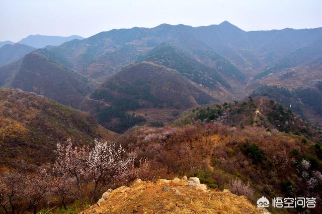 北极沙蟹扑克行:高考后去哪里旅行比较好？