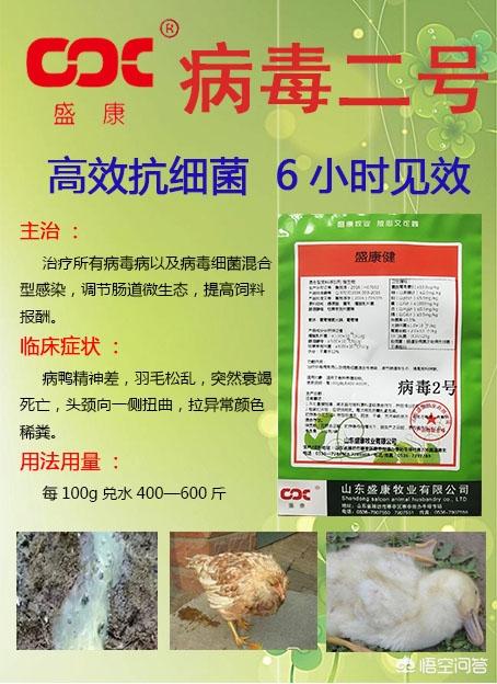 托拉菌素:托拉菌素的功效 鸡得了支原体用什么治疗？