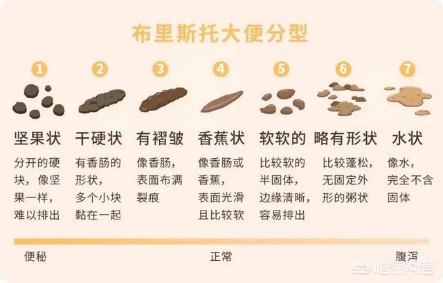曼克斯猫微信公众号:怎么才能让猫和自己亲近点？