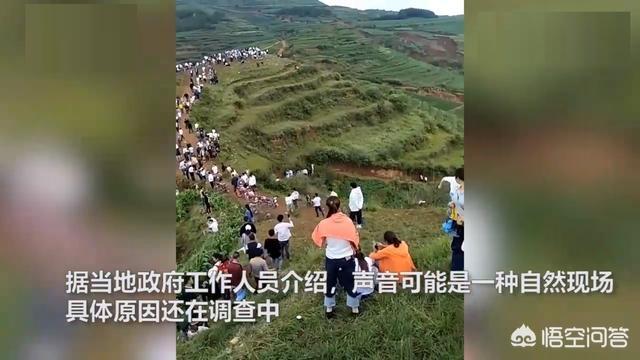 真龙现身事件:世界上有传说中的龙吗？为什么？
