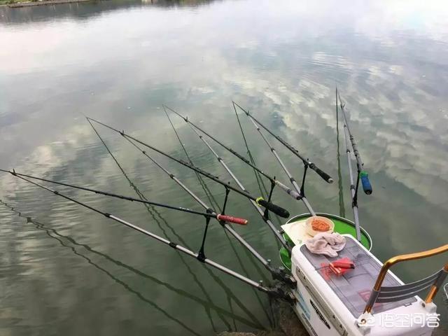 海钓活饵可以用泥鳅:海钓鲈鱼泥鳅好还是沙蚕好？