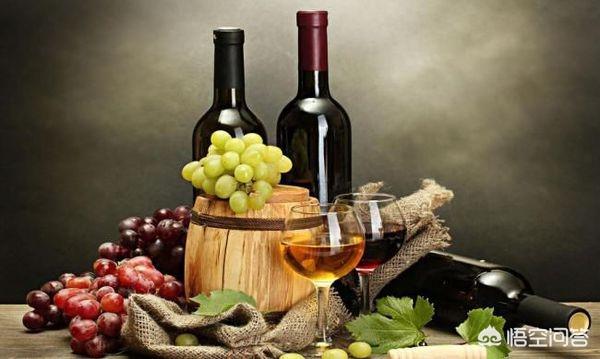 西拉葡萄酒的特点，相比起赤霞珠，西拉的优势在哪里