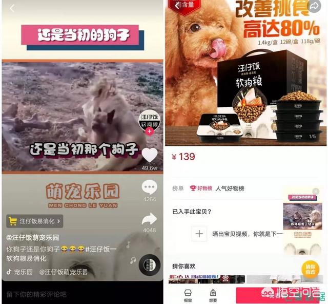 宠物食品市场可行性报告:宠物经济“冷”与“热”，未来是否能够有新的机会？ 宠物食品公司的市场调查报告