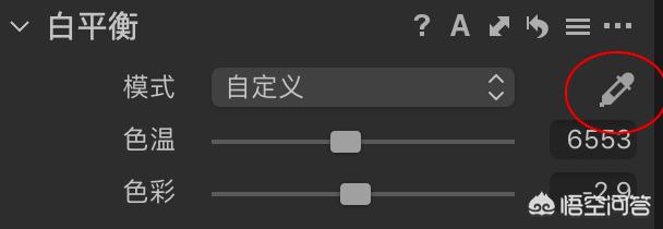 小丑鱼图片:照片偏色后期要怎么做呢？