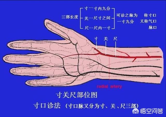 阳寿已尽的老人表现,中医号脉准吗？中医号脉看病到底准不准？