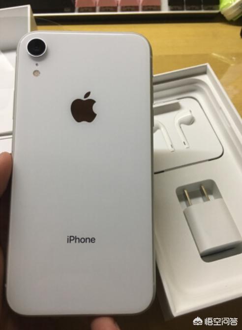 苹果6s要退休了，现在想换性价比高的苹果系列手机，哪一款比较好？插图45