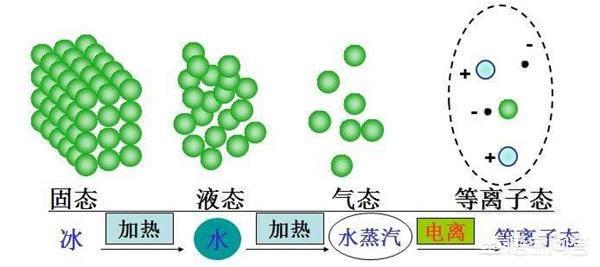 蓝脚鲣鸟为什么:大海的“蓝色眼泪”是如何形成的？