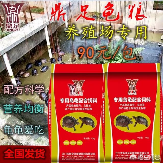 兔粮 品牌:大家，龟粮哪个品牌比较好，大概什么价钱？