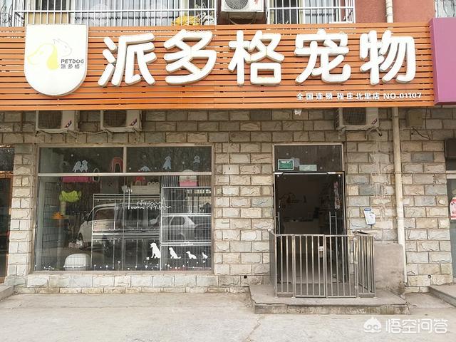 开宠物店需要什么:学习开宠物店有哪些需要准备的？
