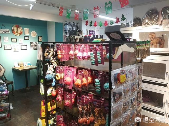 另类宠物店加盟 大学生创业成:宠物店加盟怎么收费？要注意什么？