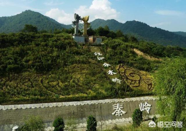 乌梢蛇图片有没有毒:在农村各种蛇类的最大天敌是什么？ 野生乌梢蛇图片