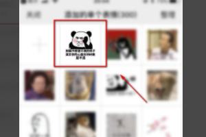 怎么知道微信表情图的意思
