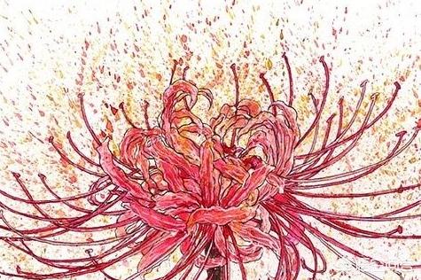 哪吒简笔画,如何画出彼岸花（石蒜）？