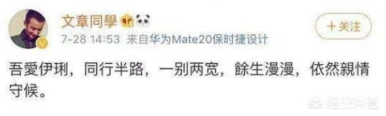 马伊琍妈妈:为什么说马伊琍推迟五年与文章离婚很明智